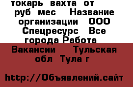 токарь. вахта. от 50 000 руб./мес. › Название организации ­ ООО Спецресурс - Все города Работа » Вакансии   . Тульская обл.,Тула г.